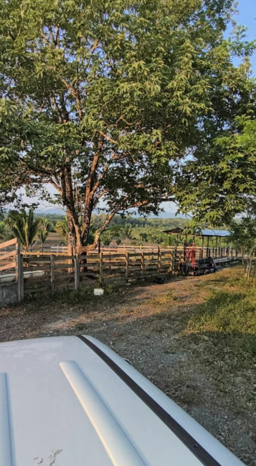 Finca en Livingston Izabal - Image 1