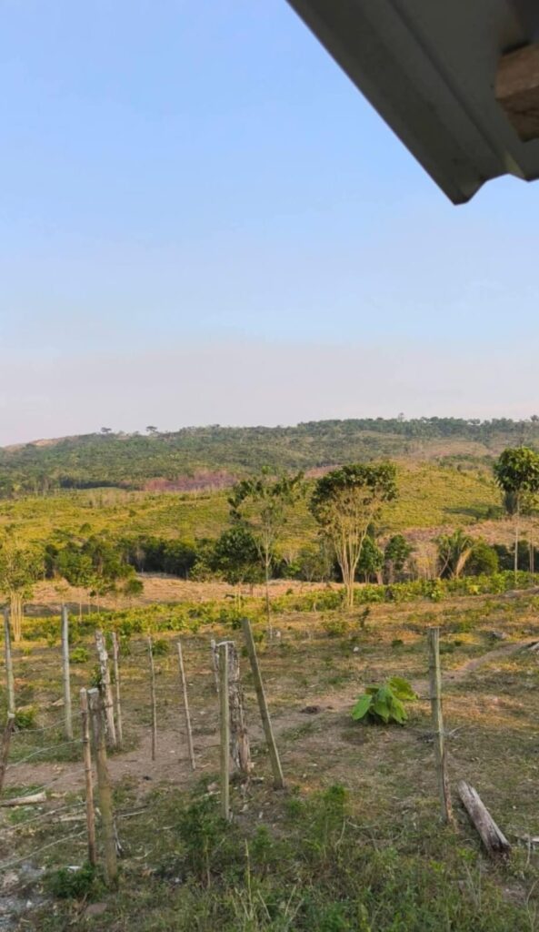 Finca en Livingston Izabal - Image 4