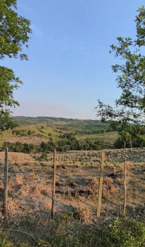 Finca en Livingston Izabal - Image 5