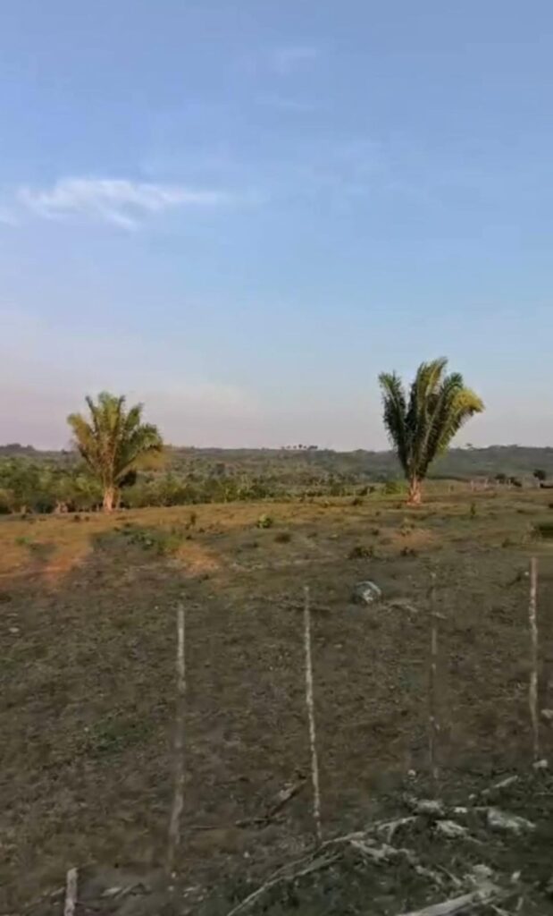 Finca en Livingston Izabal - Image 2