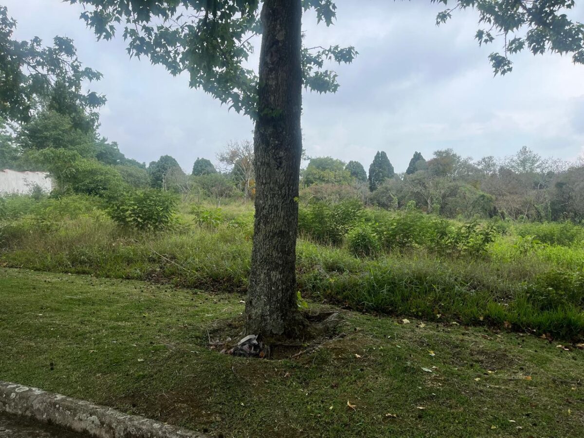 Terreno en venta en Premier Campestre Km. 22.5 Caes